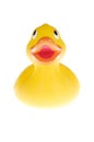 The duck Royalty Free Stock Photo