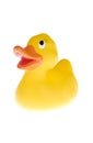 The duck Royalty Free Stock Photo
