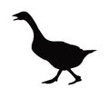 A duck, animal body silhouette vector