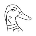 duck animal zoo line icon vector illustration Royalty Free Stock Photo