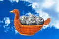 Duck basket full of money balls Royalty Free Stock Photo