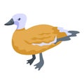 Duck bird icon, isometric style Royalty Free Stock Photo