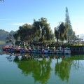 Duck boats, swan boat, outdoor sport activity