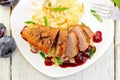 Duck breast with cabbage and green onions in plate Royalty Free Stock Photo