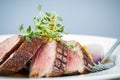 Duck Breast Royalty Free Stock Photo