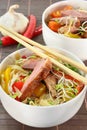 Duck breast with fried noodles Royalty Free Stock Photo