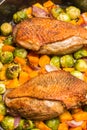 Duck breast roasted in the oven with vegetables Royalty Free Stock Photo