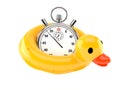 Duck buoy with stopwatch