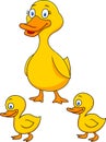 Duck cartoon family Royalty Free Stock Photo