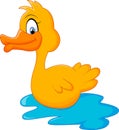 Duck Cartoon