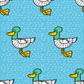 Duck cartoon pattern. Drake drawing ornament. Bird background Royalty Free Stock Photo