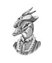 Duck character in a hat. Fashionable lady or dame. Hand drawn bird. Engraved old monochrome sketch. Royalty Free Stock Photo