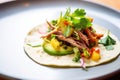 duck confit taco with avocado and cilantro garnish