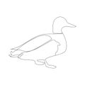 Duck in continuous line art drawing style. Minimalist black linear sketch isolated on white background. Vector Royalty Free Stock Photo