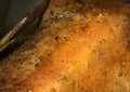 Duck cooked at home golden color. Closeup. Small details of the skin are visible