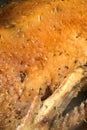 Duck cooked at home golden color. Closeup. You can see the wing and the vertical shot