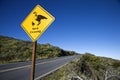 A duck crossing sign. Royalty Free Stock Photo