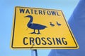 Duck Crossing Sign