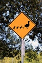 Duck Crossing Warning Road Sign