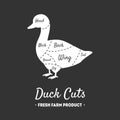 Duck Cuts, Fresh Farm Product, Poultry with Meat Cuts Lines, Butcher Shop Label, Vintage Black and White Vector