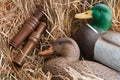 Duck decoy with stuffed and calls Royalty Free Stock Photo