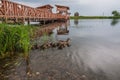 Duck ducklings lake mill landscape Royalty Free Stock Photo