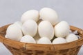 Duck egg on basket on white background