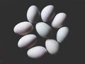 This is duck egg in black background, soft tone