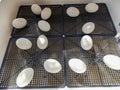 Duck egg incubator Royalty Free Stock Photo