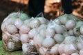 Duck egg on the straw in the plastic bag. Royalty Free Stock Photo