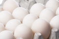 Duck Eggs Royalty Free Stock Photo