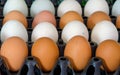 duck eggs and chicken egg in carton box Royalty Free Stock Photo