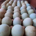 Duck eggs contain a variety of vitamins and minerals, especially vitamin B12