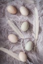 Duck eggs flat lay still life with food stylish Royalty Free Stock Photo