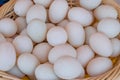 Duck eggs