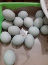 Duck eggs are good for health and stamina Royalty Free Stock Photo
