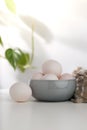 The duck eggs in a gray bowl. Royalty Free Stock Photo