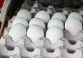 Duck eggs in paper tray In the market Royalty Free Stock Photo