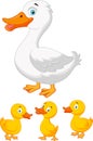 Duck family cartoon Royalty Free Stock Photo