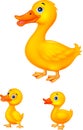 Duck family cartoon Royalty Free Stock Photo