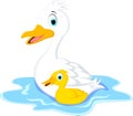 Duck family cartoon Royalty Free Stock Photo