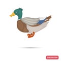 Duck farm bird color flat icon