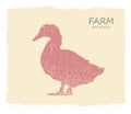Duck farm bird silhouette. Vector vintage label of duck on old paper background