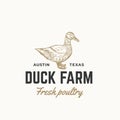 Duck Farm Fresh Poultry Abstract Vector Sign, Symbol or Logo Template. Hand Drawn Engraving Duck Sillhouette Sketch with