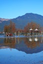 Duck Farm by Lake in Autumn