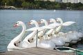 Duck fiber pedal boat waiting for people to play Royalty Free Stock Photo