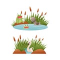 Duck Floating in Pond with Reeds and Grey Ugly Duckling Crying Suffering from Bullying as Fairytale Vector Set