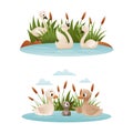 Duck Floating in Pond with Reeds and Grey Ugly Duckling from Fairytale Vector Set