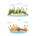 Duck Floating in Pond with Reeds and Grey Ugly Duckling from Fairytale Vector Set