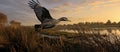 duck flying over treed grasslands in the early morning light Royalty Free Stock Photo